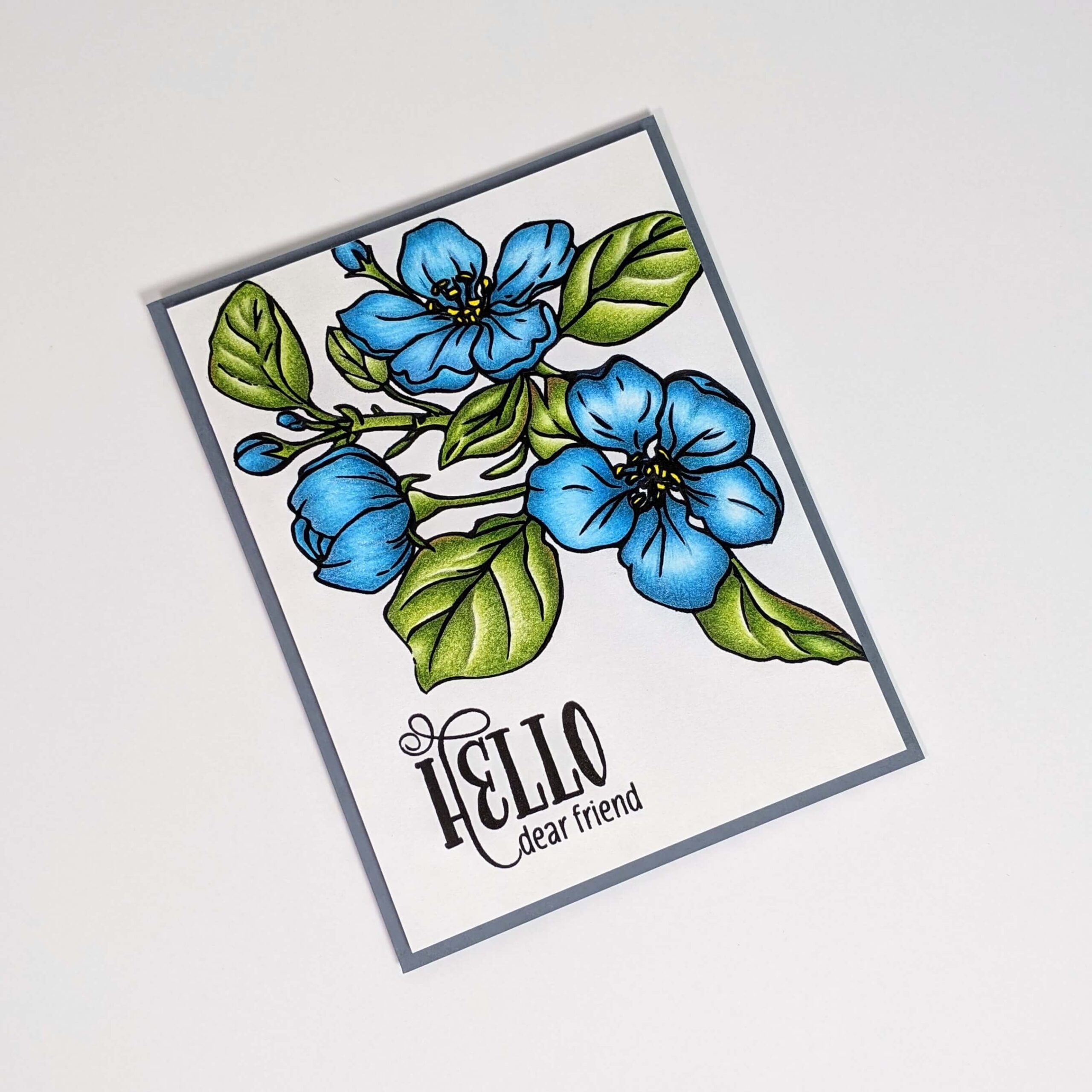 Colored Pencil Blending for Beginners | Floral Friendship Card