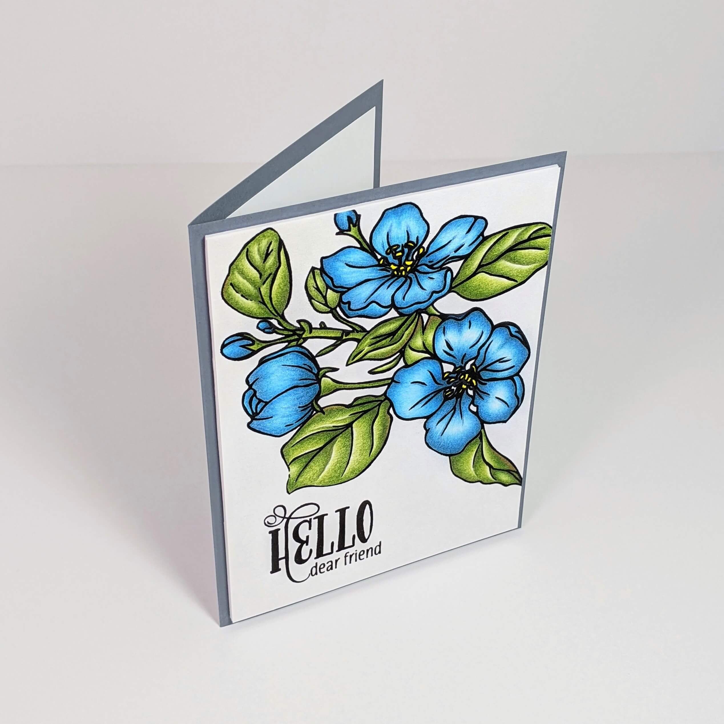 Colored Pencil Blending for Beginners | Floral Friendship Card